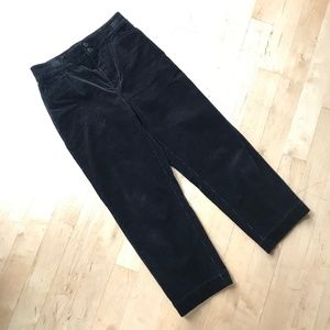 Loft velvet pants cotton